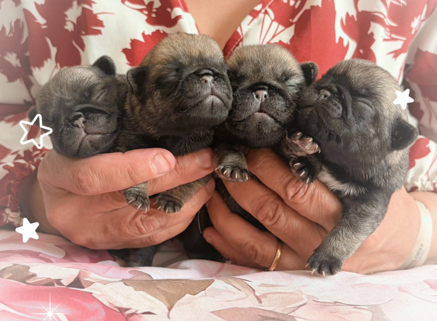 Les bébés sont nés