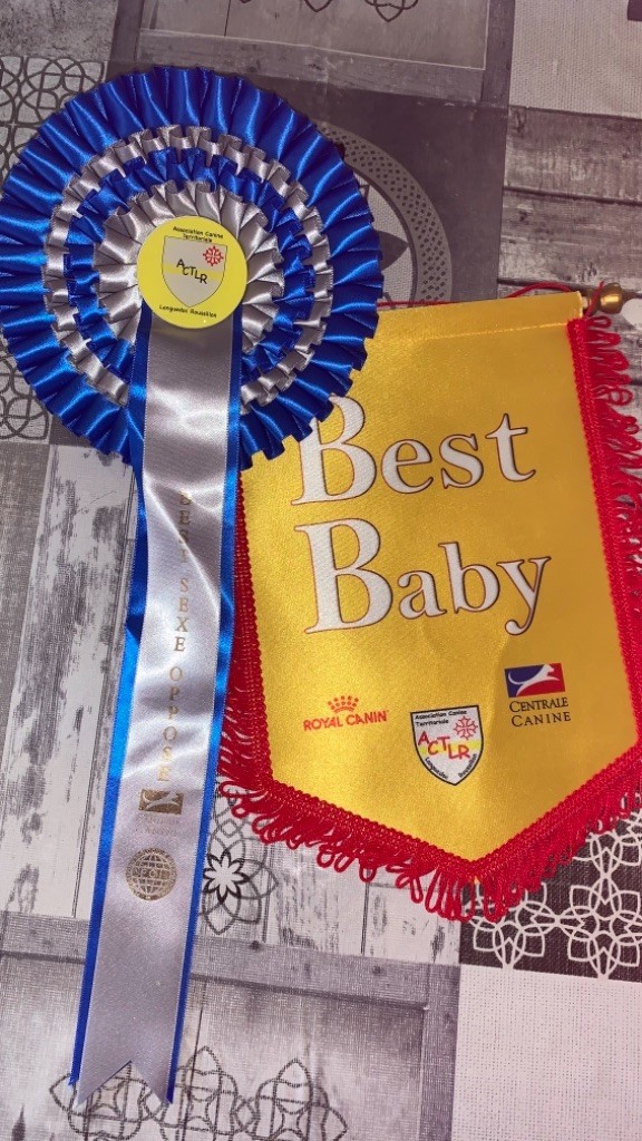 des guerriers Cathares - Meilleur Baby pour Willow